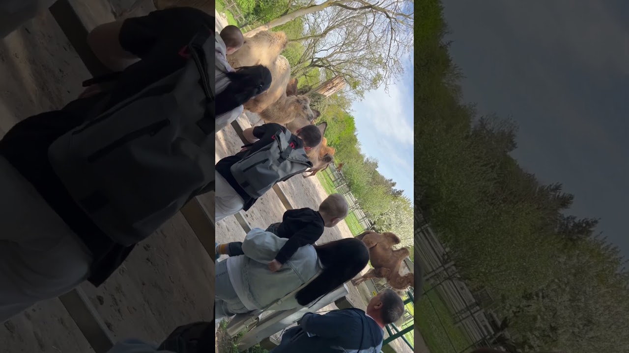 Гарний відпочинок з своїми рідними Koburger Straße 1204277 ЛейпцигНімеччина