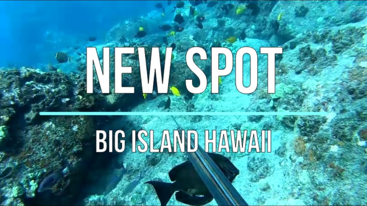 Spearfishing the Shallows - New Spot and Lots of Fish in the Water - Big Island of Hawaii