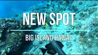 Spearfishing the Shallows - New Spot and Lots of Fish in the Water - Big Island of Hawaii