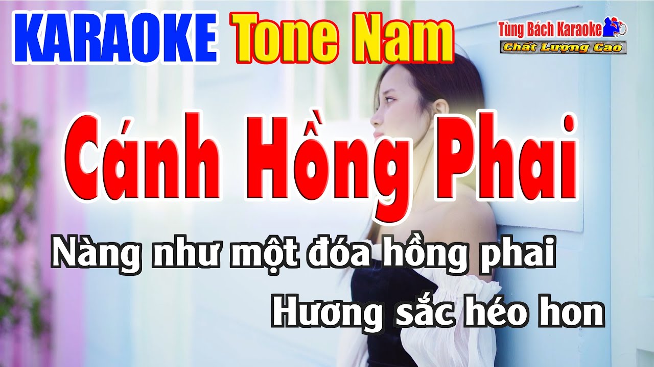Cánh Hồng Phai | Karaoke Tone Nam | Nhạc Sống Tùng Bách