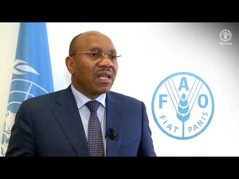 Déclaration De S E M Oumar Ibrahima Touré Ministre Commissaire à La Sécurité Alimentaire Mali