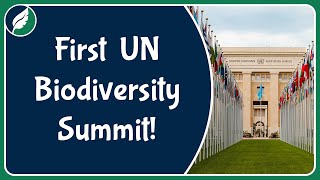 The First United Nations Summit on Biodiversity