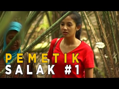 Sosok perempuan tua yang mengandalkan hidupnya dari buah salak  | JIKA AKU MENJADI