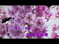ほんきかしら【島倉千代子】cover姫😸❤️and前島