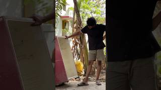 Day2😅✅மீன்🐠வளபோமா😁#fish #pets #தமிழ் #petscorner #guppy #day1 #male #female #vs #farm #மீன் #love