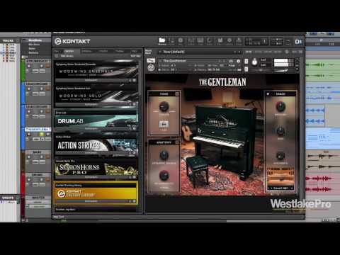 The Gentleman Demo Komplete 11 Select Native Instruments | Westlake Pro