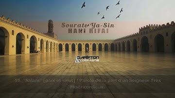 Sourate Ya Sin 20-  83   - Hani Rifai سورة يس هاني الرفاعي