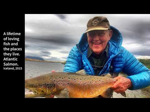 Stephen Born Tribute