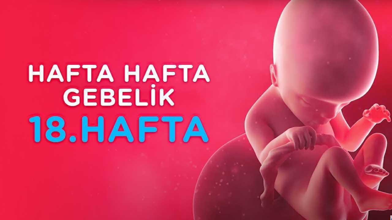 hamilelikte 18 hafta hafta hafta gebelik ilk adimlarim youtube