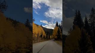 Information Guanella Pass  Fall Colors - 2025 - 2 #mountains Update