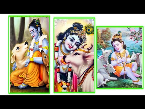 Govardhan Puja 2022 Status Video | गोवर्धन पूजा 2022 स्टेटस वीडियो  | गोवर्धन पूजा स्टेटस #shorts