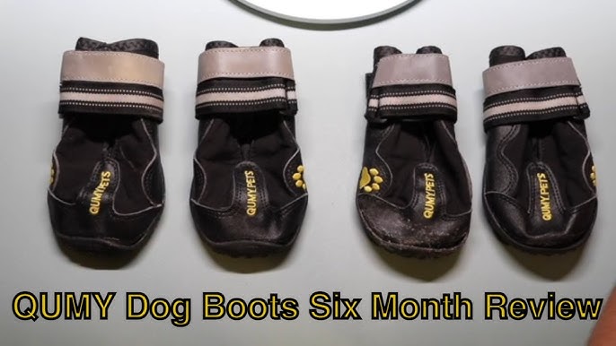 5 Best Dog Shoes of 2023 of 2024 - Reviewed