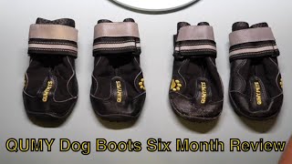 Qumy Dog Boots: 6 Month Review