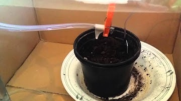 Sistema de riego automatico de invernadero arduino