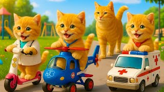 Mama Cat Trims Fur on the Farm and Makes Tiger Hat For Kittens At Home🐾🎩🐯