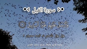 سورة الفيل ،بصوت قارئ هاوکار صالح محمد الكردي