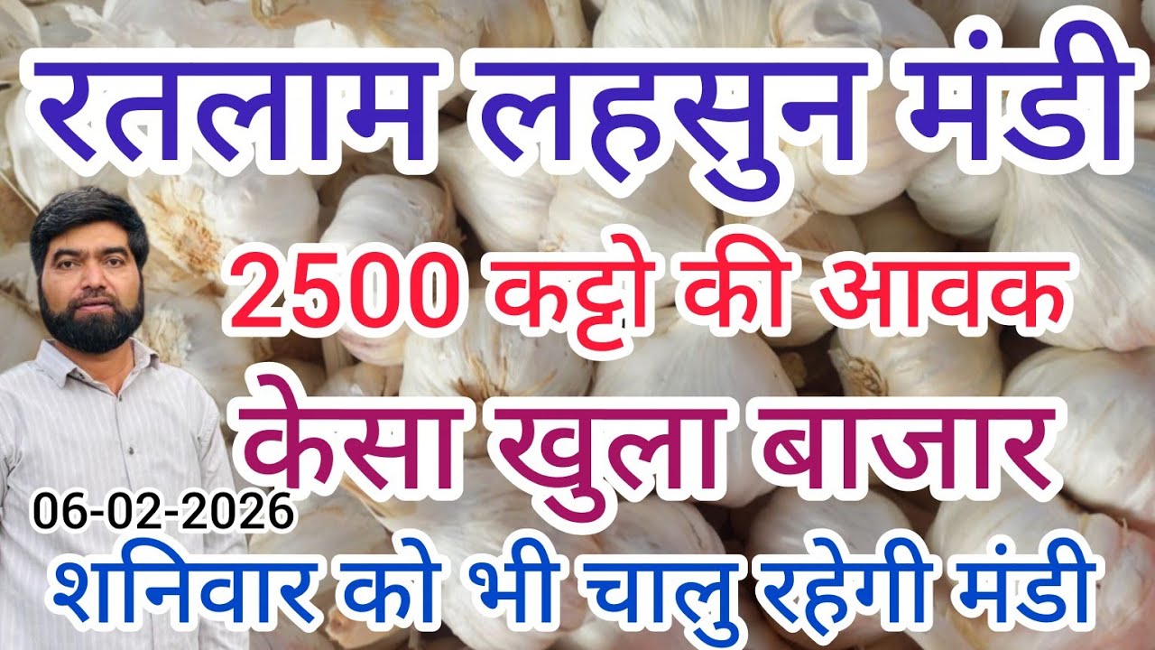 रतलाम मंडी में लहसुन का बाजार कैसा खुला !! Today Garlic price in ratlam m.p mandi  !!