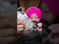 Iceman Condom Real Feel 😱 Worth It? #Shorts #ytShorts #ViralShorts #KamaHut #CondomIndia #drkapoor