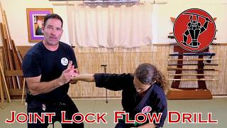 Joint Lock Flow Drill