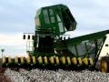 7460 Cotton Stripper Dumping in Boll Buggy