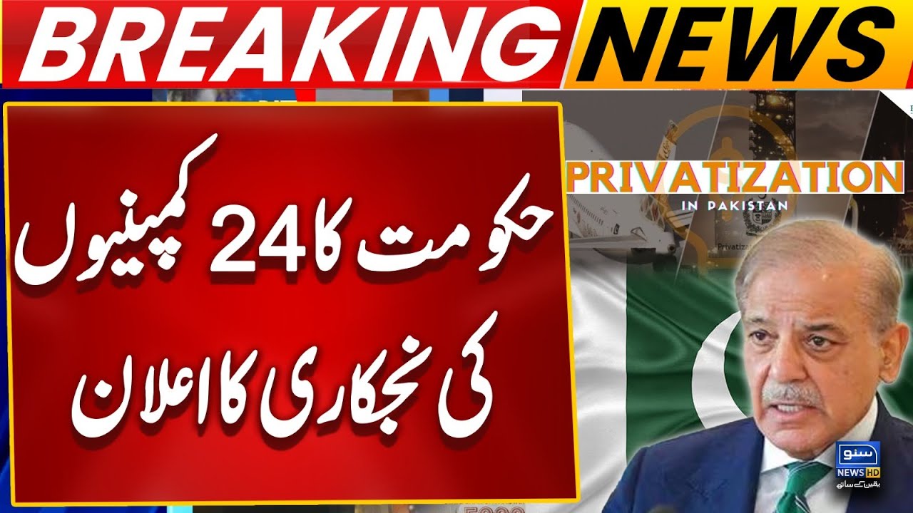 24 Companies Up for Sale | Government's Major Privatization Push | Budget 2025 | Suno News HD