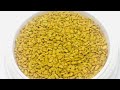 Fenugreek    methi  trigonella foenumgraecum