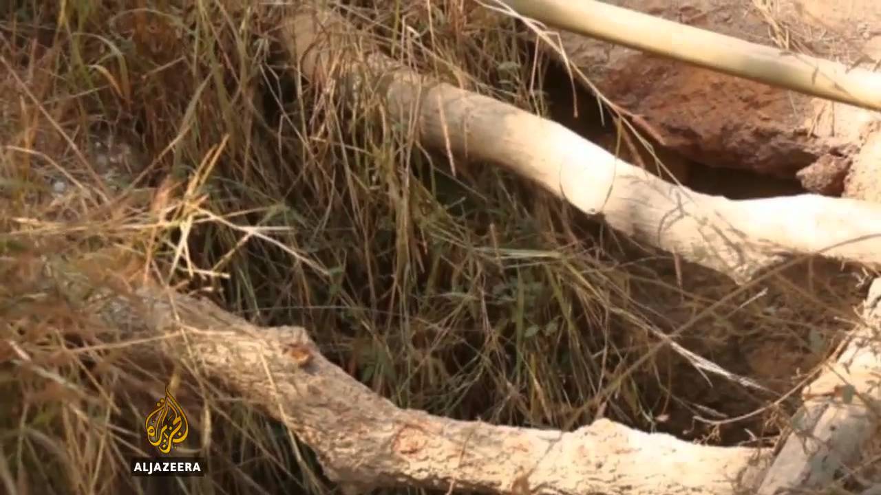 حياة بائسة في أرض الذهب