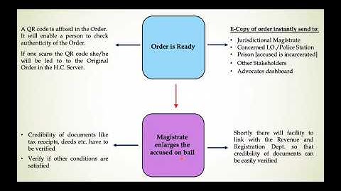 E FILING MODULE   PART 1 Bail Application English version
