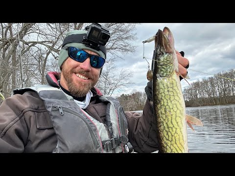 Pickerel Fishing 