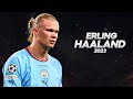 Erling Haaland - Full Season Show - 2023ᴴᴰ