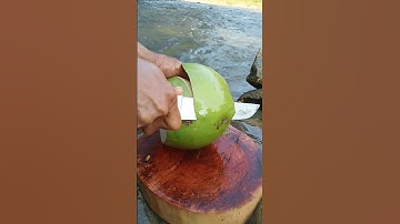 The art of peeling green coconuts using a sharp knife #amazing #asmr #cuttingskills