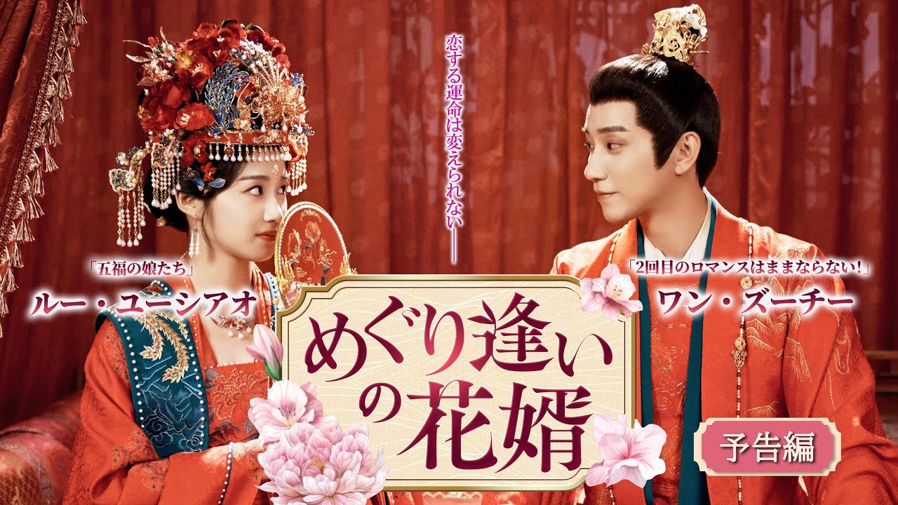 中国ドラマ「めぐり逢いの花婿」日本上陸、擬似兄妹の切ない恋を描く