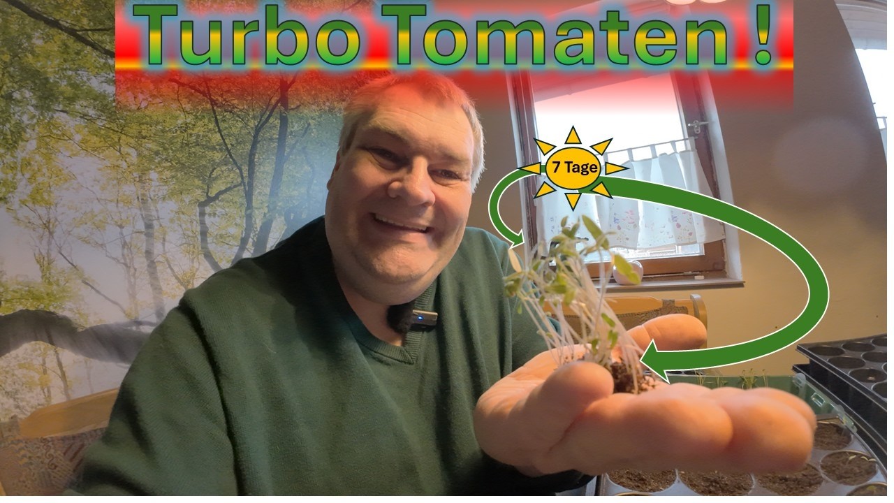 Turbo Tomaten