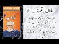 Sultan Singhare Wala | سلطان سنگھاڑے والا | Zavia 2 | Urdu Audio Book | Ashfaq Ahmed | Waqar Azmat