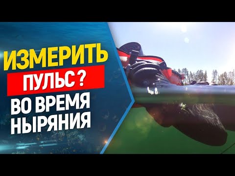 Чем измерять пульс во время фридайвинга. Suunto Heart Rate Belt🔥