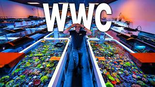 This CORAL FARM is UNBELIEVABLE! - World Wide Corals tour!