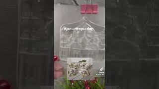 формы для копилок и сувениров #формы