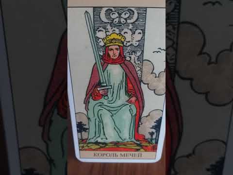 мой мир таро