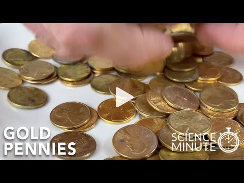 Science Minute - Gold Pennies