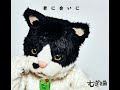 猫と学校