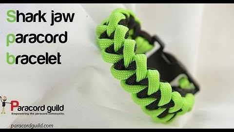 Shark jaw bone paracord bracelet