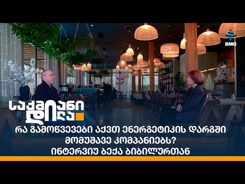 რა გამოწვევები აქვთ ენერგეტიკის დარგში მომუშავე კომპანიებს? - ინტერვიუ ბექა ბიბილურთან