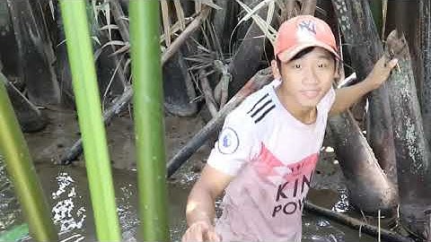 TRỞ VỂ TUỔI THƠ ĐẶT CÁ BÓNG-BẰNG CHAI NHỰẠ Ở MIỀN TÂY RẤT VUI NHỘN