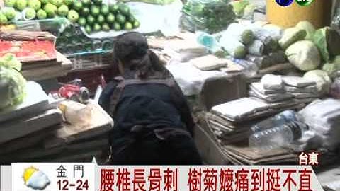 脊椎長骨刺 樹菊嬤腰桿挺不直!
