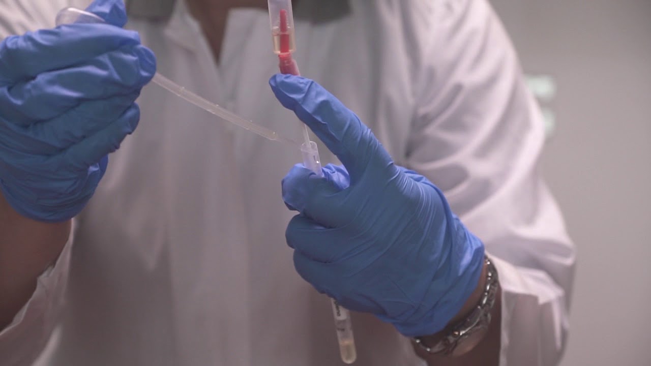 Hygiena EnSURE & SystemSURE Plus Quick Start Guide 1 YouTube