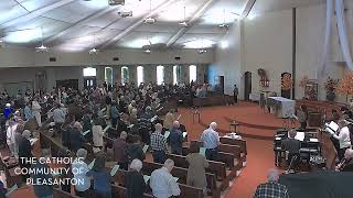 Sunday Mass Live Stream - November 10, 2024 : Thirty-second Sunday in Ordinary Time
