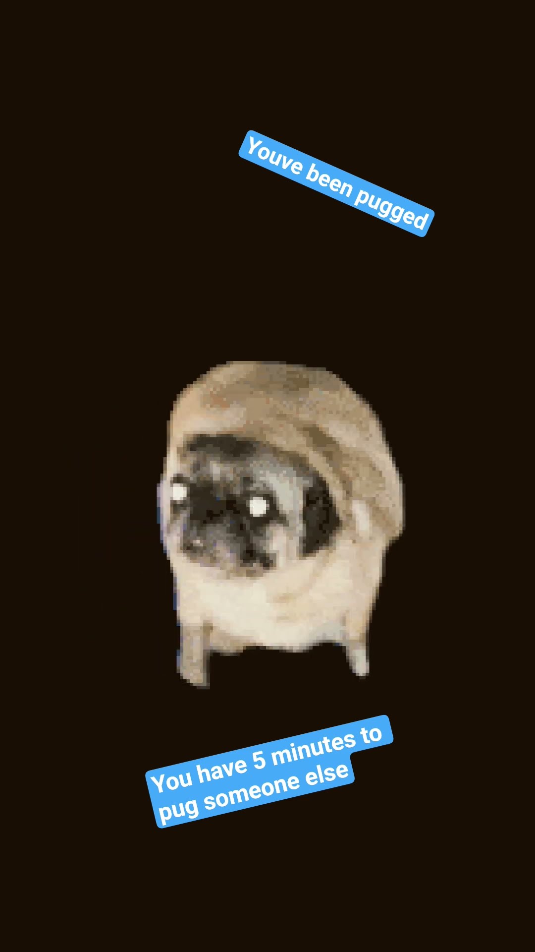 pug - YouTube