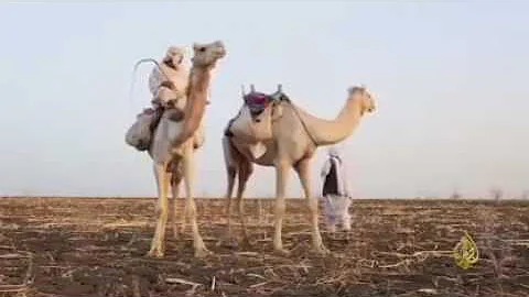 ØªØ­Ù…ÙŠÙ„ Ø¹Ø¨Ø¯Ø§Ù„Ù„Ù‡ Ø§Ù„ÙƒØ§Ù‡Ù„Ù‰ ÙˆØ¯ Ø§Ù„ØºØ² Ù…Ø¬Ø§Ø¯Ø¹Ù‡ Ø¹ØµØ§Ù… ÙˆØ¯Ø§Ù„Ù‚ÙˆØ²