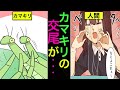 【漫画】カマキリの交尾がやばい件について...【漫画動画】【雑学漫画】