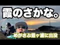 [霞の魚]めがさぶ霞ヶ浦に出没